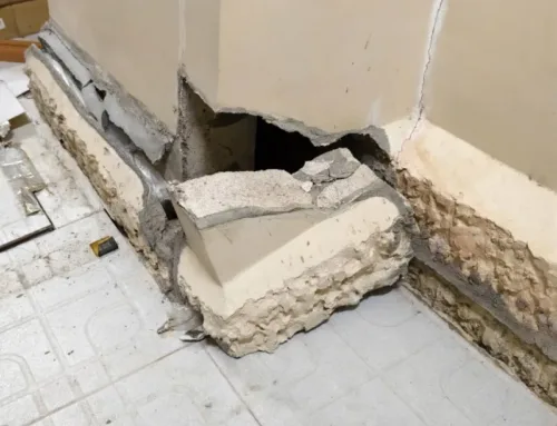 ปิดโพรงรอบบ้านและซ่อมรอยแตกร้าว