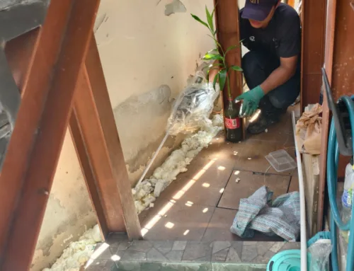 ปิดโพรงรอบบ้านด้วย PU Foam ป้องกันสัตว์มีพิษ